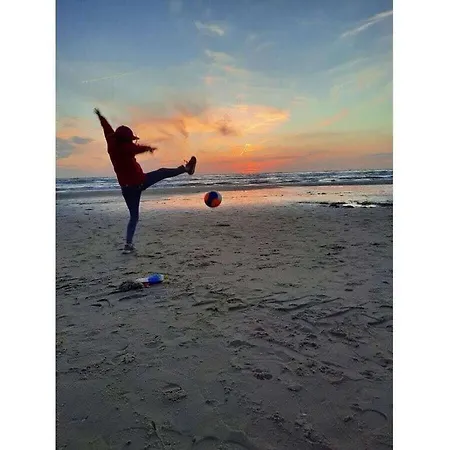 Wollbrueck Comfortable *