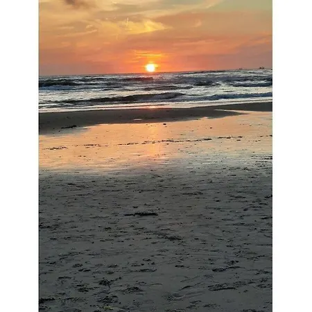 Nyaraló Wollbrueck Comfortable *