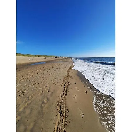 Wollbrueck Comfortable *