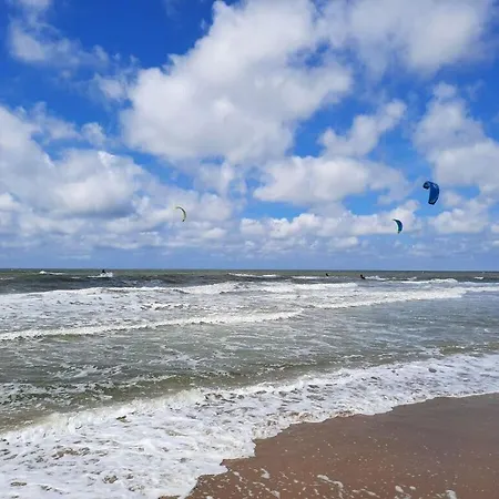 Wollbrueck Comfortable *